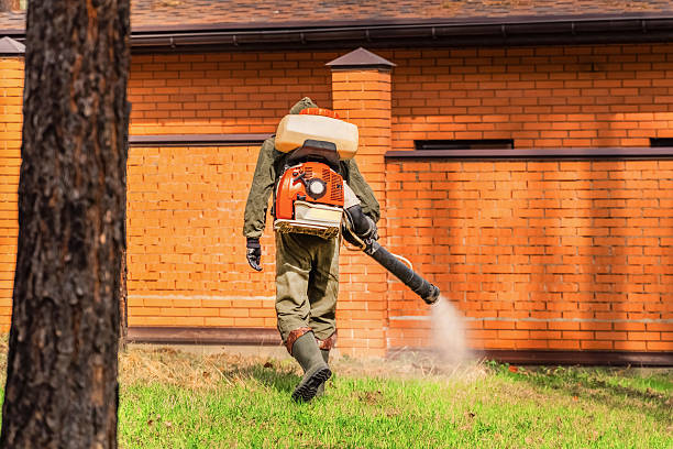 Trusted Rodent Control service in Rio Grande, NJ - Nex Pest Control